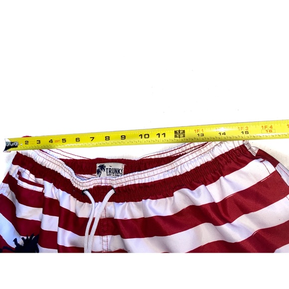 Trunks Surf & Swim Co Sano Swim Stripe Shorts- - Picture 14 of 16